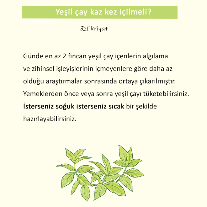 Yesil Cay Nasil Yapilir Yesil Cay Zayiflatir Mi Galeri Fikriyat Gazetesi