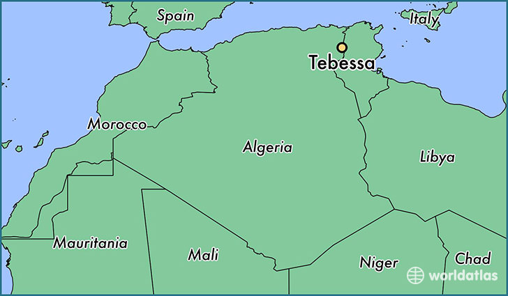 Cezayir’de güvenlik güçlerine yönelik mayınlı saldırı