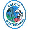 Calcio Montebelluna 1919