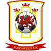 Marshfield AFC