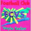 Veyle Saone FC