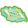 Snoegg Fotball