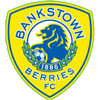 Bankstown Berries FC