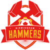 Birmingham Hammers