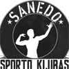 FK Saned Joniskis