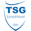 TSG 1881 Sprockhovel