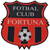AFC Fortuna Poiana Campina