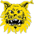 Tampereen Ilves