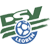 DSV Leoben