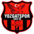 Yozgatspor 1959 FK