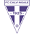 FC Calvi Noale