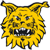 Tampereen Ilves