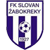 FK Slovan Zabokreky