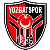 Yozgatspor 1959 FK