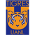 CF Tigres UANL