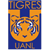 Tigres UANL