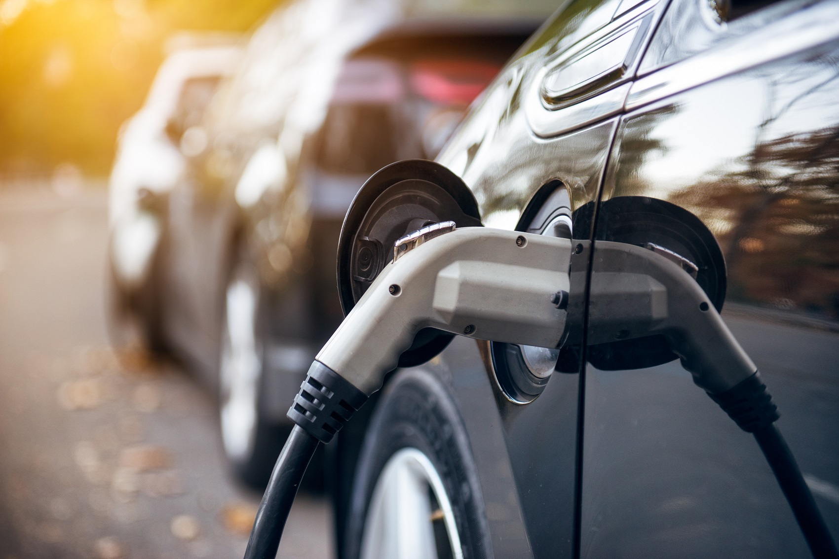 Türkiye'de İş Dünyası- Elektrikli araç