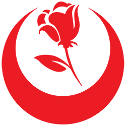 Büyük Birlik Partisi