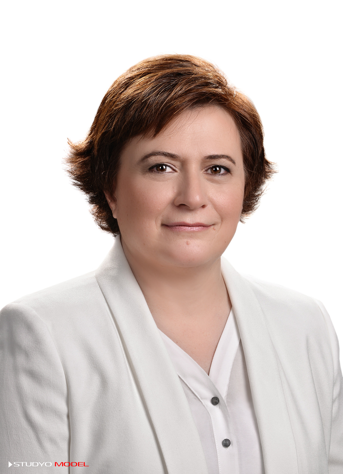 milletvekili adaylari 7 haziran 2015