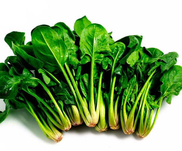 Bu yiyecekler içerdiği E vitamini ile hastalıklardan koruyor