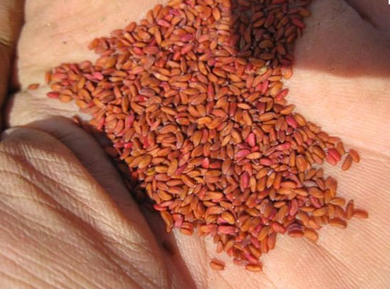 Bunları tüketin kilo verin