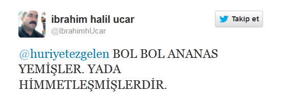 Cemaat yazarı darbeciliğe soyundu!