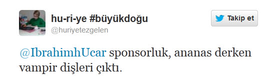 Cemaat yazarı darbeciliğe soyundu!