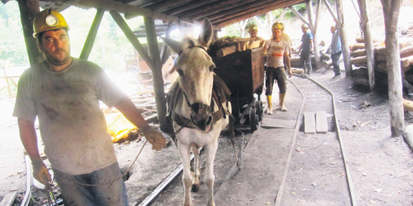 Kömürler katırlarla taşınıyor!