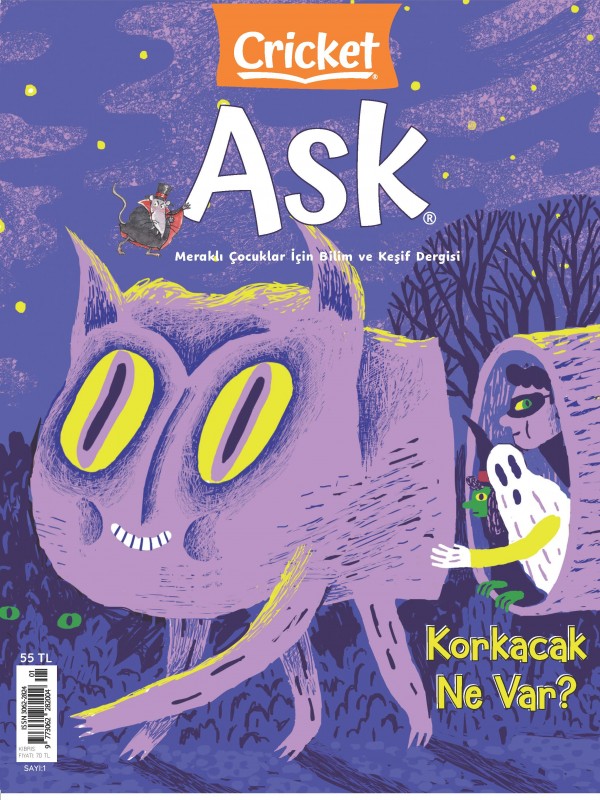 CRICKET ASK SAYI 1