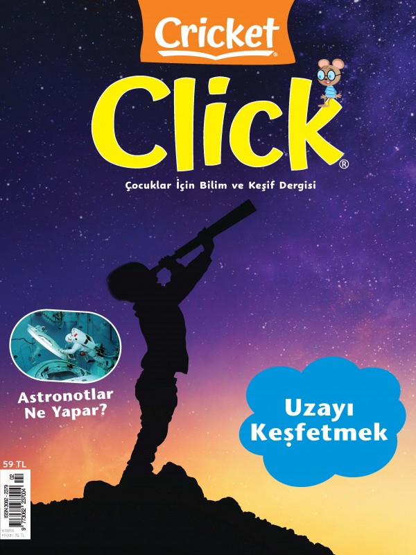 CRICKET CLICK SAYI 2