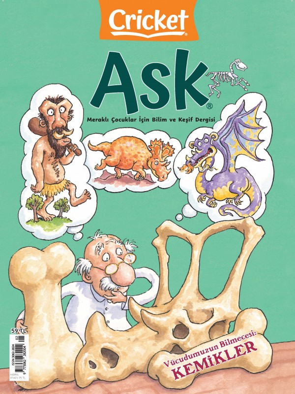 CRICKET ASK 2