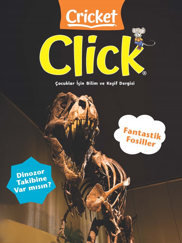 CLICK SAYI 3