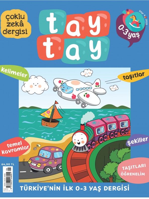 TAY TAY SAYI 4