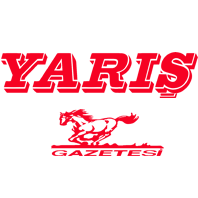 yaris.png