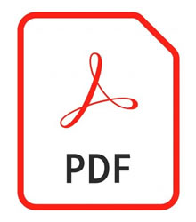 PDF