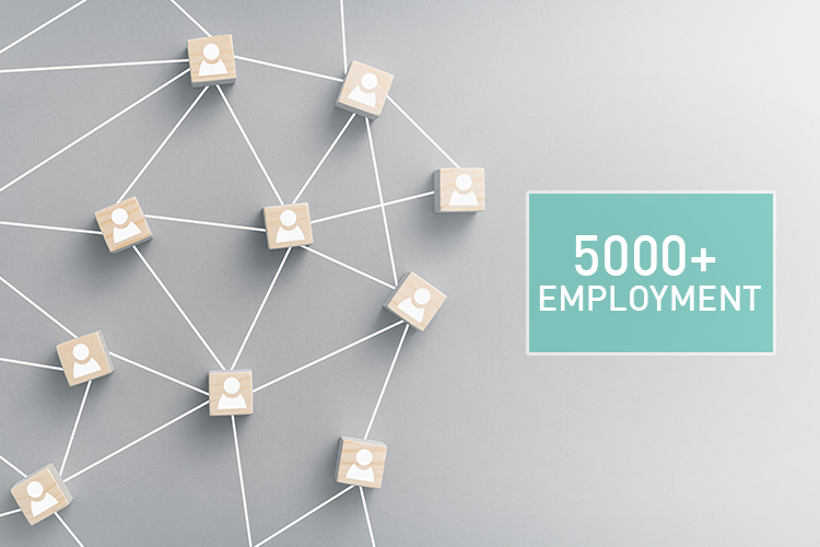 5000+ Employment